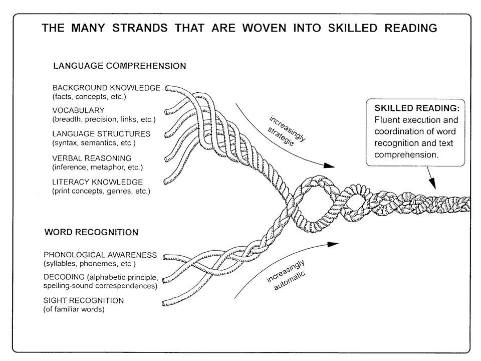 Strands woven into reading